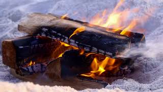 Colin Lynch  - Beach Fire Embers (Lyric Visualizer)