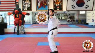 Tiger Kim's Academy Kee cho Hyung Sam Basic Form 3 three