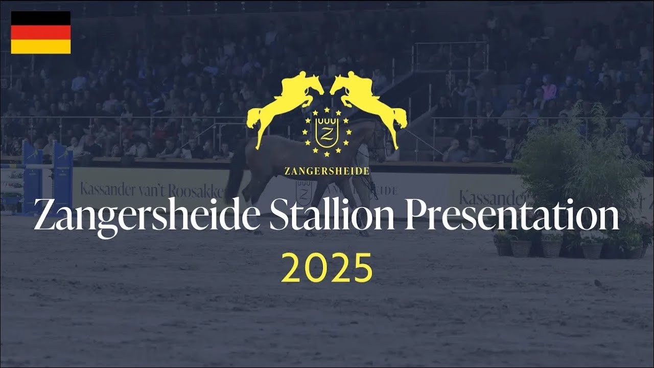 Zangersheide Stallion Presentation 2025 - DE 🇩🇪