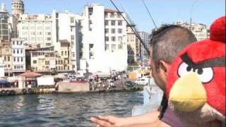 Kızgın Kuşlar İstanbul'da screenshot 3