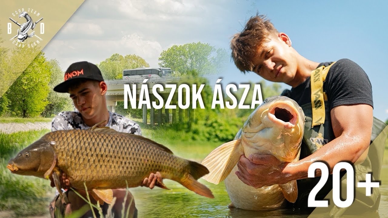 NÁSZOK ÁSZA | Álomhalak a Nyugati-övcsatornából🐋🎯
