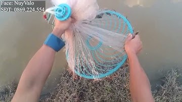 Quăng chài bắt cá cực nhanh, Mương không có cá vẫn bắt được cá