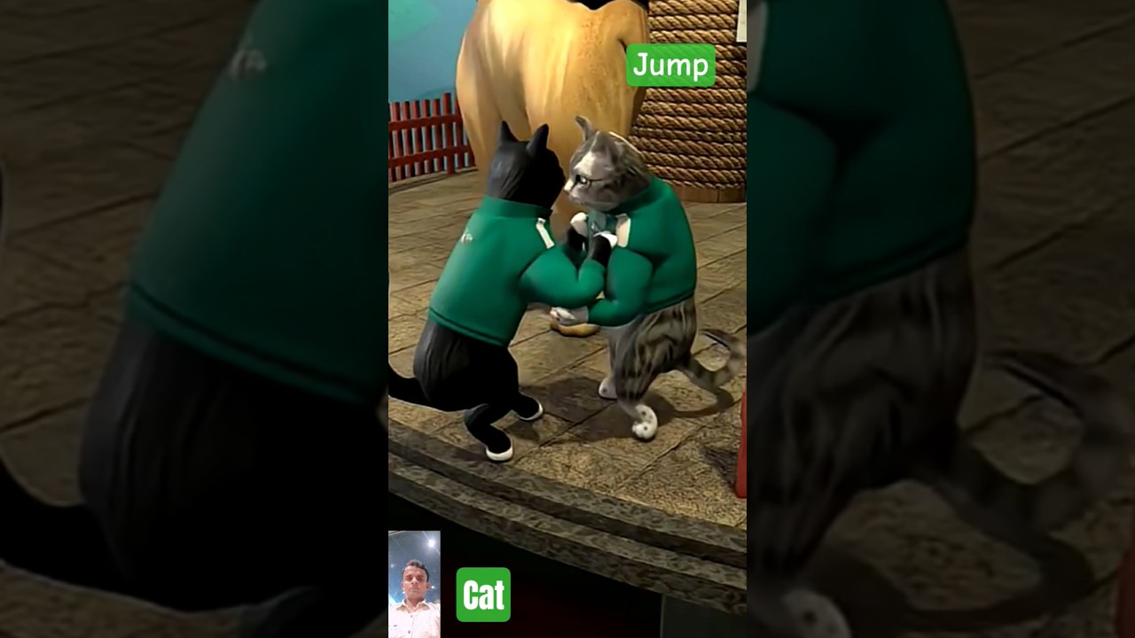 cat jump 