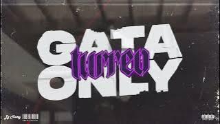 GATA ONLY (Remix) - DJ Matty, Cris MJ, FloyyMenor