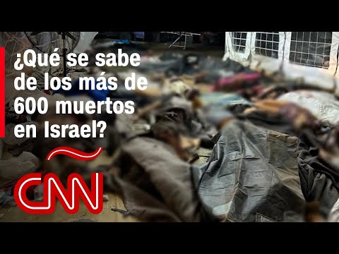 Video: ¿Cuántas personas murieron en Ucrania en una guerra no declarada?