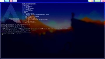 ArcoLinux : 3433 - Adding wf-recorder-git to our repo - test out -git versions if you have an issue