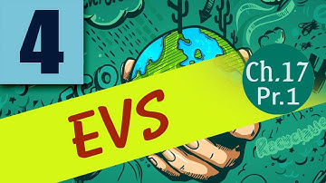 Class 4 EVS 1 Chapter No 17 My Upbringing Part 1