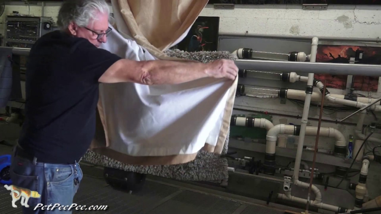 ASMR-How to get dog urine out of dry clean only draperies - YouTube