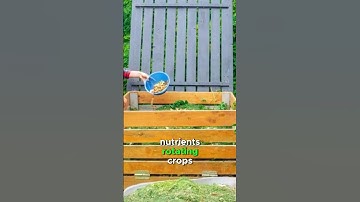 Crop Rotation: The Secret to Soil Health in Food Forests #northcarolinagardening #foodforests