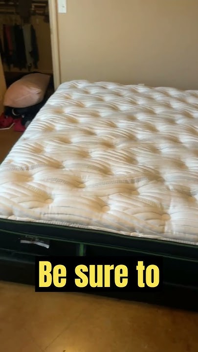 who-s-in-your-bed-shorts-how-to-clean-pee-off-a-memory-foam-mattress