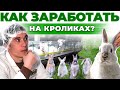 Как открыть Бизнес в селе | Доход и риски | Как заработать на Кроликах? | Андрей Даниленко