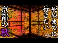 【左京区編】秋に行きたい京都の紅葉絶景30選 - JAPAN in 4K