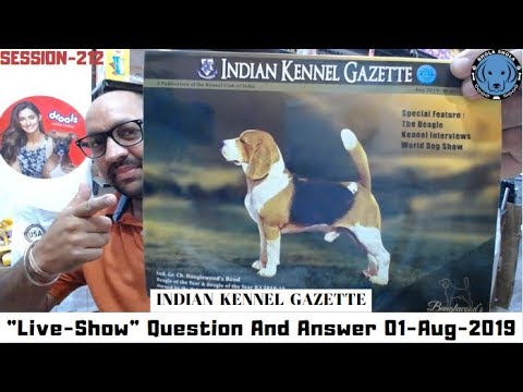 puppy paradise Live Show - Question & Answer - 01,August 2019(Indian Kennel Gazette)