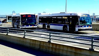 NYC Bus | Bus Action @Saint George Terminal