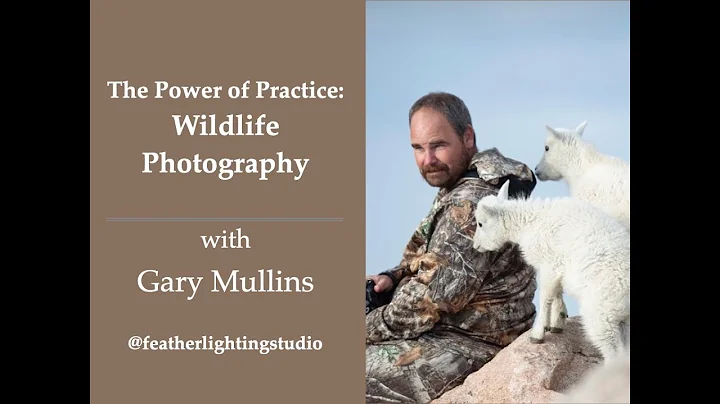 Session 78 - The Power of Practice in Wildlife Pho...