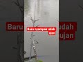 mudah"an ikanya masih mau makan