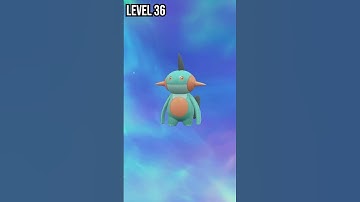 Mudkip | Marshtomp | Swampert | Evolution Pokemon in Scarlet & Violet #pokemon #evolution #shorts