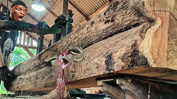 unexpected surprise when sawing teak logs
