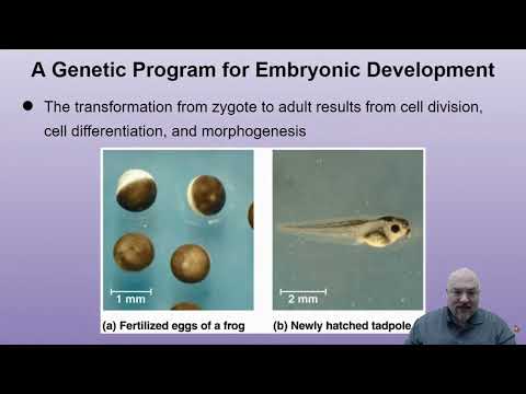 3B-AP Bio: Unit