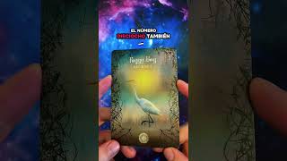 Foggy Bog Oracle — Español La Niebla Se Está Levantando: Confía En La Señal