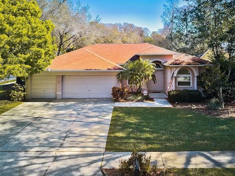 2131 Otter Way, Palm Harbor, FL home video tour
