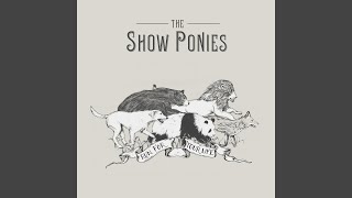 Video thumbnail of "The Show Ponies - Honey, Dog and Home"
