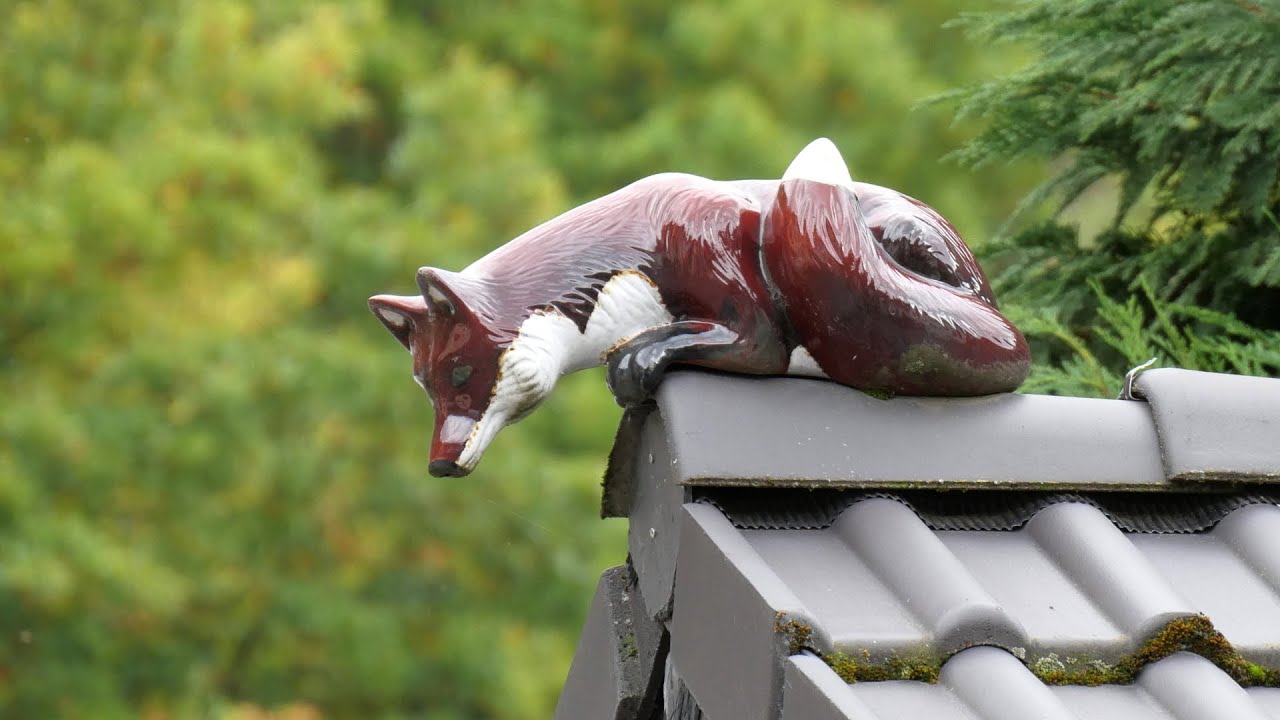 Mit dem Bus durchs Weiltal