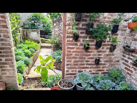 Video: Lansekap Taman (194 Foto): Kami Mendekorasi Sebidang Dengan Kebun Sayur Di Atas 6 Hektar, Dengan Apa Bunga Daylili Digabungkan, Halaman Yang Indah Dengan Tumbuhan Runjung