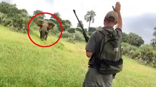 6 Elephant Encounters That Will Give You Anxiety