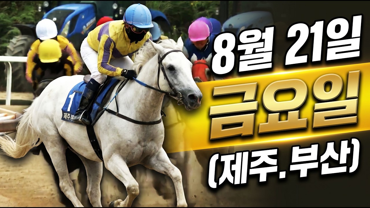 [ 2026년 8월 21일 금요(제주.부산)경마~!]