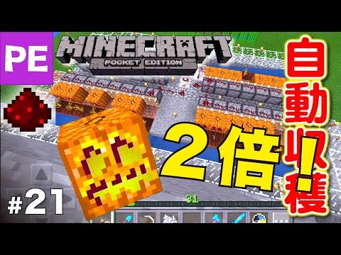 マイクラpe カボチャ自動収穫装置を拡大してみよう 21 Youtube