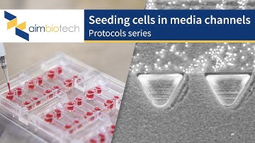 IdentX – Seeding Cells in Media Channels