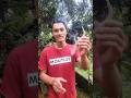 Nyamuk minggat dan ruangan menjadi harum || lakukan ini !! #tipsandtricks #sipurgtr