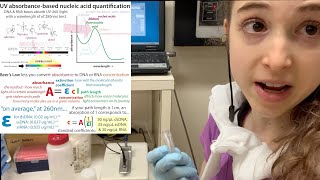 Determining concentration & purity of RNA & DNA with UV spectroscopy: Beer's Law and Beyond!