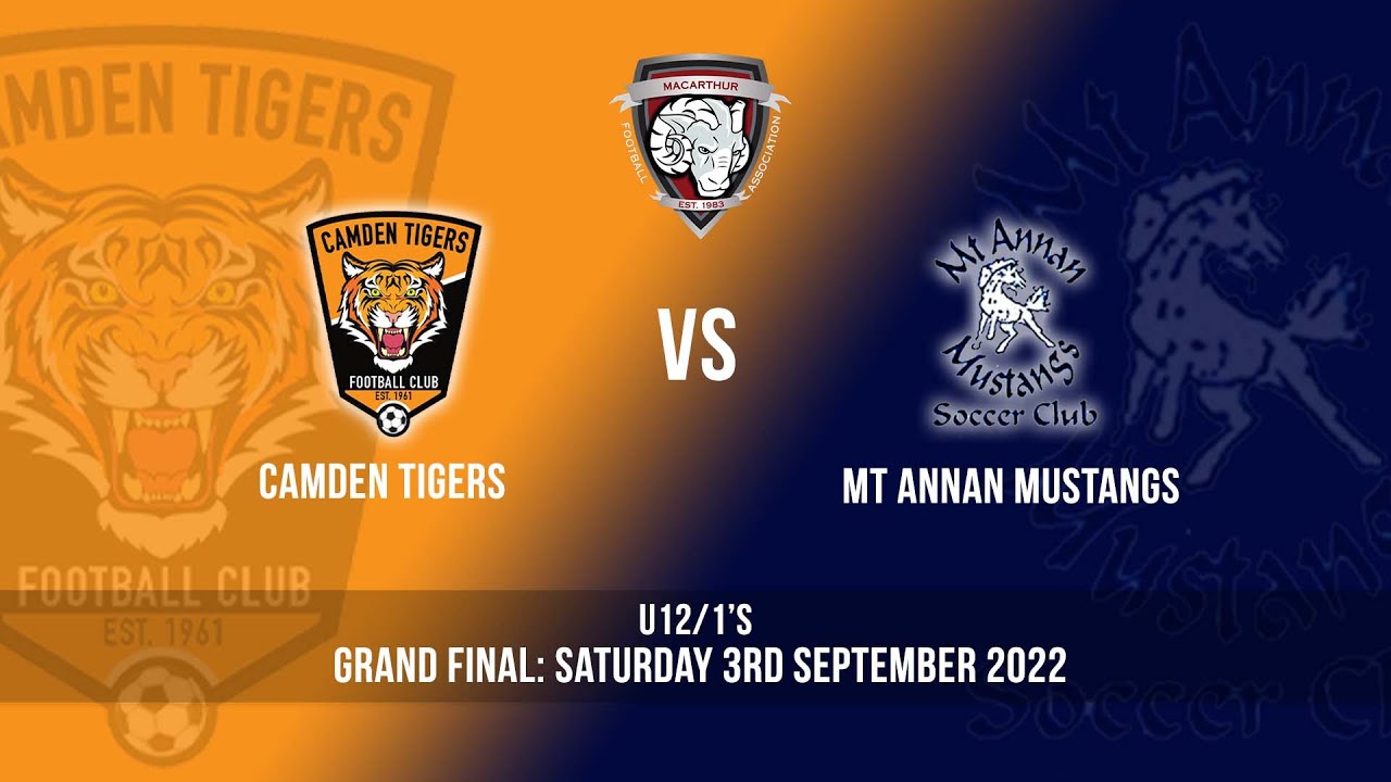 U12's Grand Final Camden Tigers Black v Mt Annan YouTube
