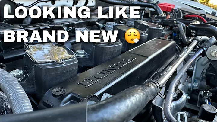Cleaning Engine Bay | 10th Gen Honda Civic