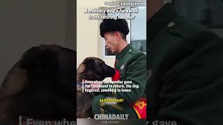 A military dogs farewell to its retiring handler