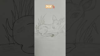 Easy deer drawing #deer #drawing #easypencildrawing #viral #shortvideo