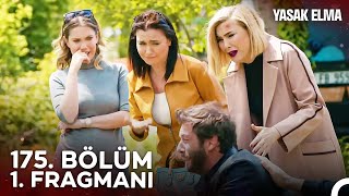 Yasak Elma 175. Bölüm 1. Fragmanı | Düşmanı Toprağa Gömdük!