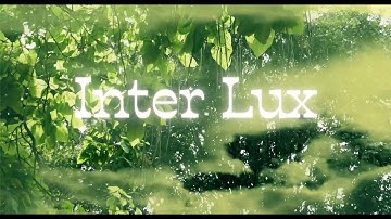 Mirlaqi - Inter Lux [Wise Bird]