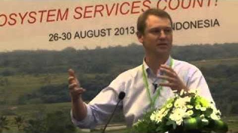 Carl Obst on the international System of Environmental and Economic Accounts