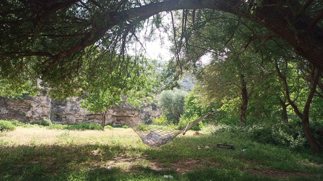 Afşin Akyol : Yollar Seni Gide Gide Usandım