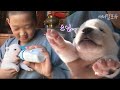 [모아보기] 새끼 강아지 + 동자승 = 최고의 힐링 조합 ♥ (마지막화까지 풀버전!) | KBS 2008년 방송
