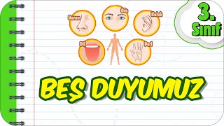 Beş Duyumuz Haydi Öğrenelim 3.Sınıf Fen