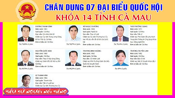 Chân Dung 7 Đại Biểu Quốc Hội Khóa 14 Tỉnh Cà Mau