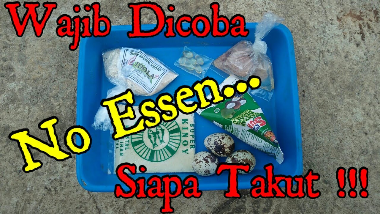 UMPAN IKAN MAS DADAKAN PENGURAS EMPANG
