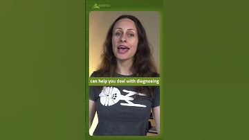 Ana-Maria Mihalceanu takes a glance at the Java Performance Toolbox at Accento 2023