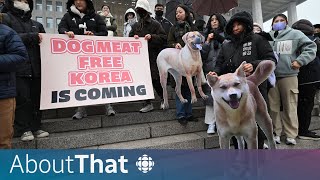 South Korea is banning dog meat. Why now? | About That