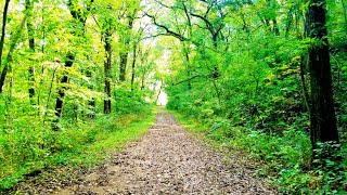 Route84 Trail: Mississippi Palisades State Park. Appalachian Trail 2020Prep