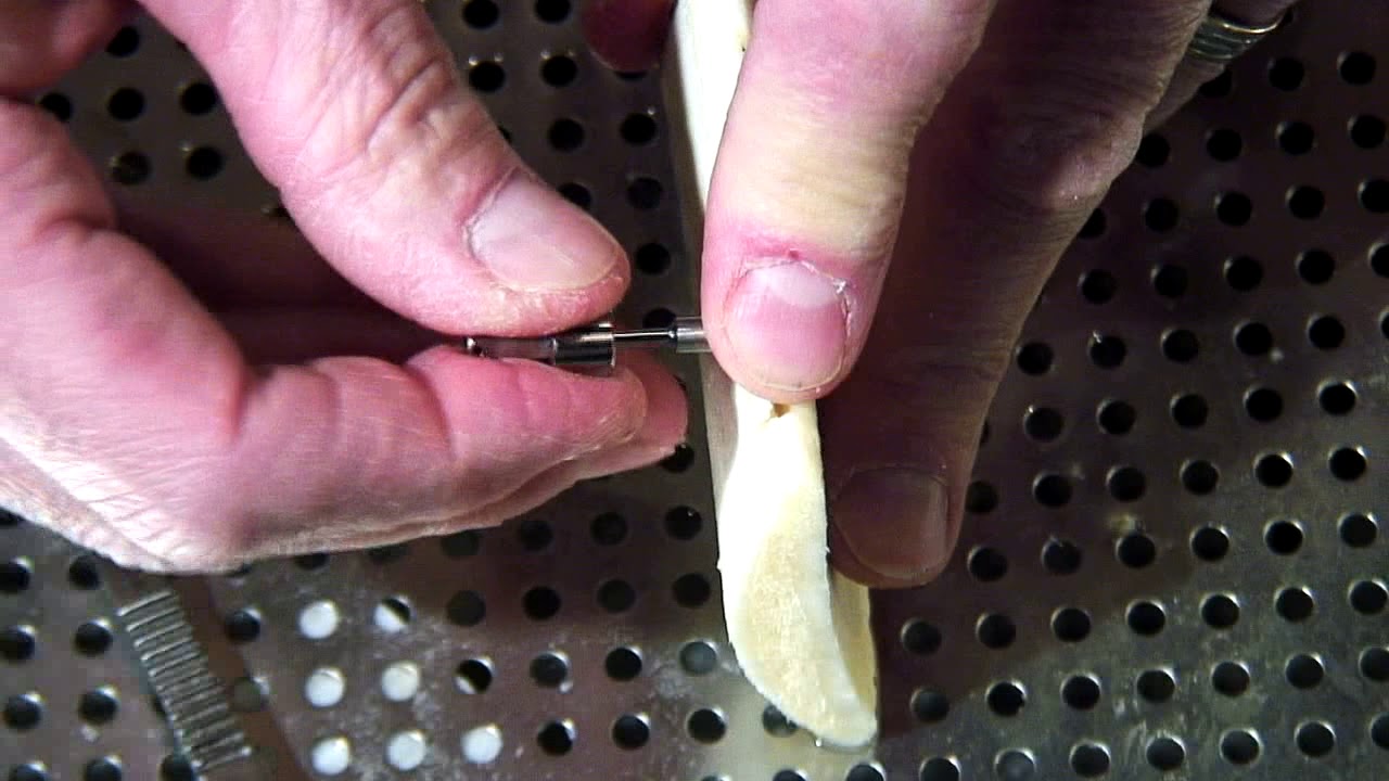 Meisinger's 1st Annual High Altitude Bone Management Winter Camp